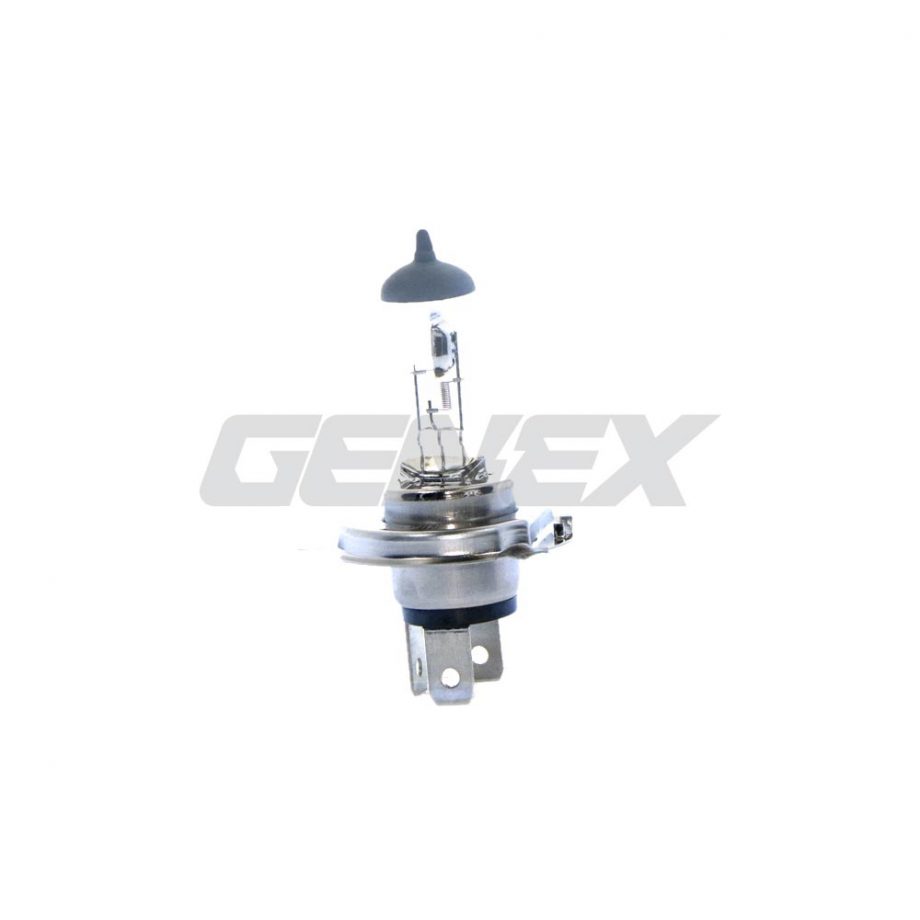 Halogen Bulb H4, 12V, 60/55W (P43T)