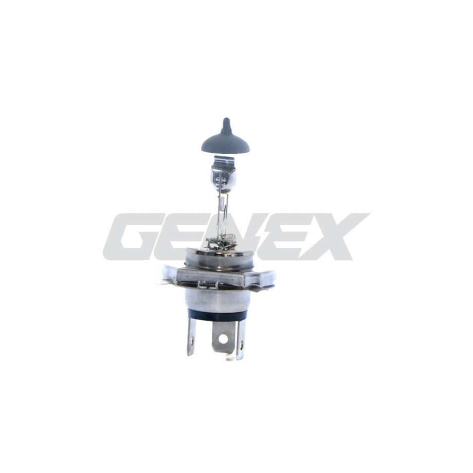Halogen Bulb H4, 12V, 60/55W (P43T)