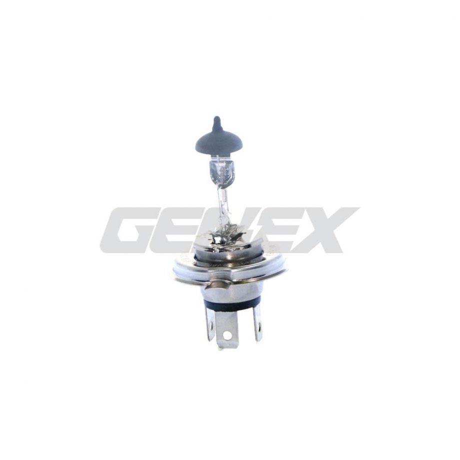 Halogen Bulb H4, 12V, 60/55W (P43T)